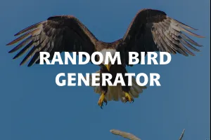 Random Birds Generator image