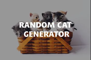 Random Cat Image Generator image