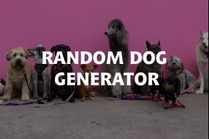 Random Dog Image Generator image