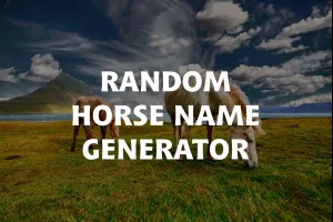 Random Horse Name Generator image